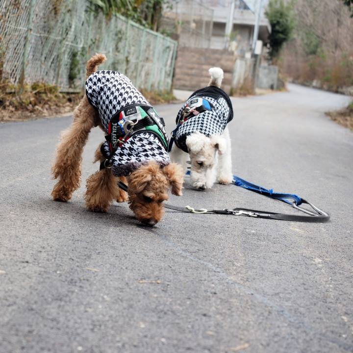 49dc33a0 5069 4528 9d75 7a0affd031ce 1549233510786