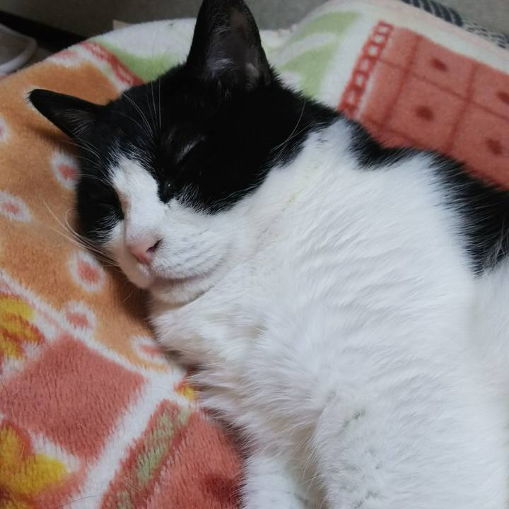 49dc4505 8045 49fa 844a 88339f3da318 1526998510032