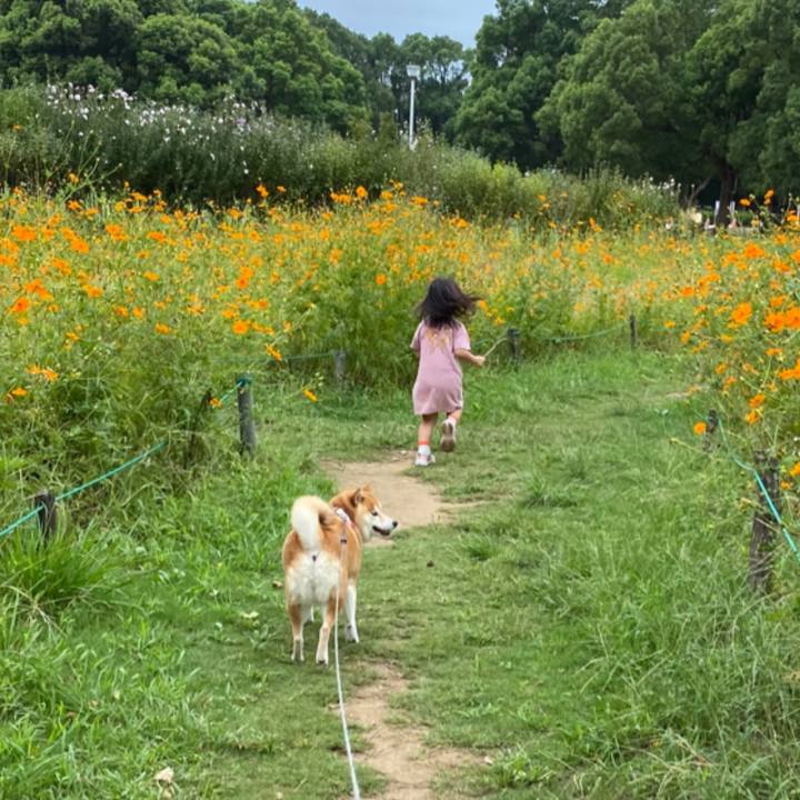 49dc7150 953e 4832 8500 6b82965ef17c 1600654362501