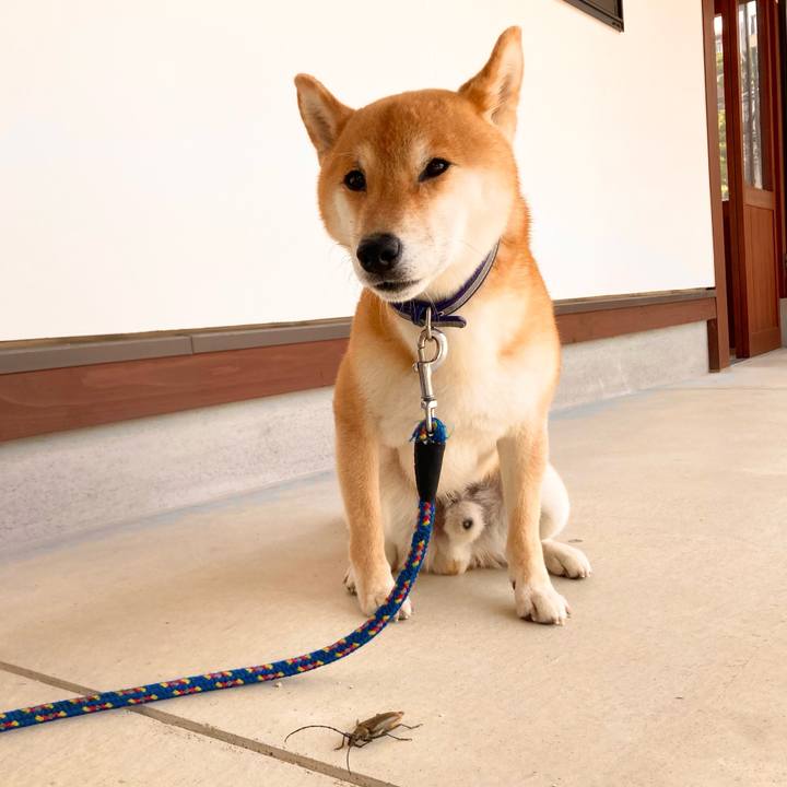 49dd1384 5ad6 42de 9327 02d7d430c425 1688619432623