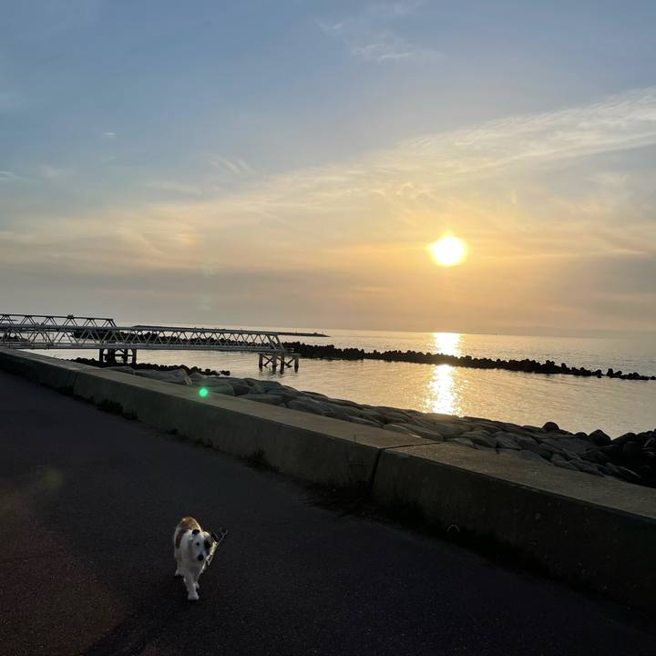 49dd2f03 d82a 4495 b217 d51b219d1f48 1619255300566