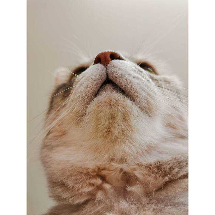 49dd4c82 c7bd 476b 9c43 025b501d80ae 1662351787024