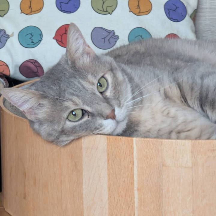 49dd8f90 c1bd 405b baa2 fd0477bdf64a 1749623759953