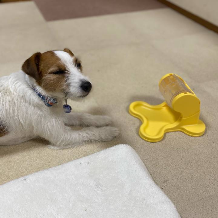 49dded07 d5f8 40be 967b bd71f591eeae 1738414780962