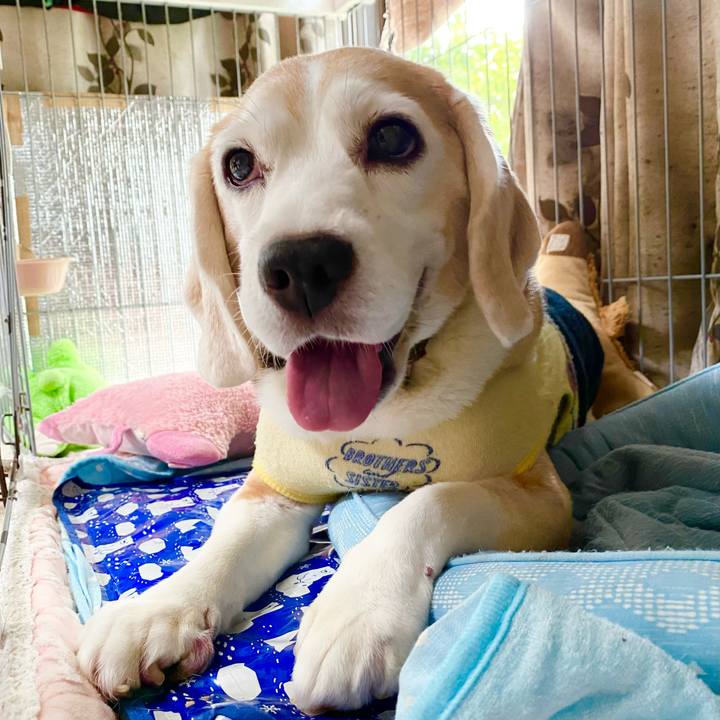 49de4c5d 3cc6 4fce 9c63 7277d831db7c 1661658709116