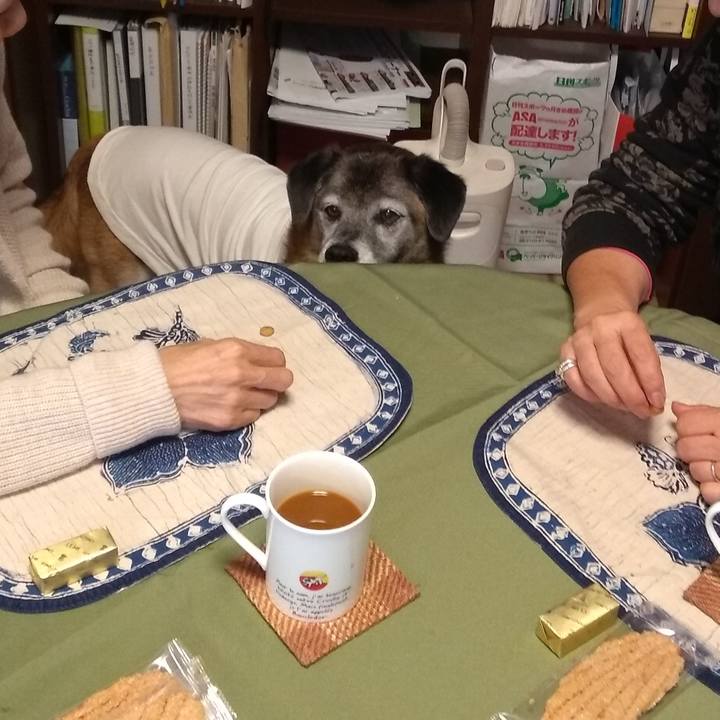 49de6c3f bec5 44cd 8505 cc7a6d1eb7bb 1571208190984