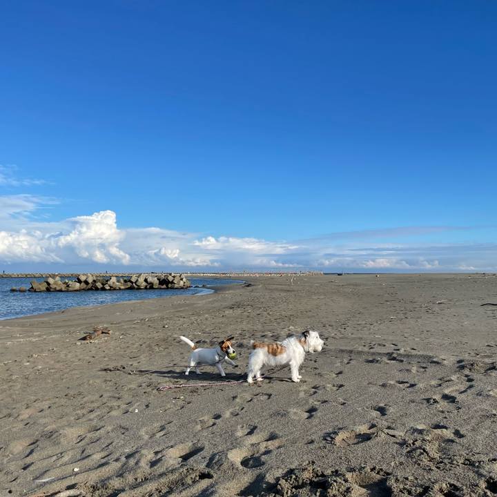 49deac5b b25f 4eed 978d bfdabccaf537 1636157935436