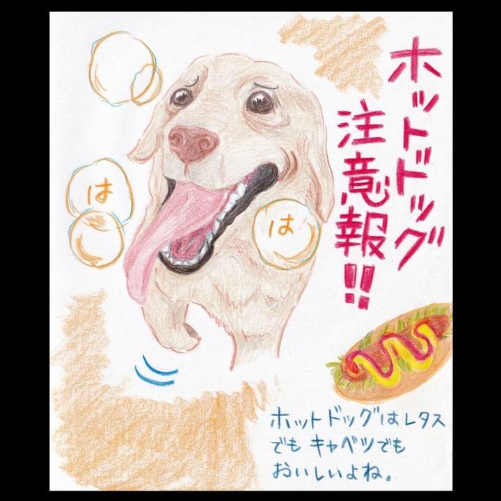 49ded0d8 1cc3 4c10 9c68 b4bd785dcc66 1657143961599