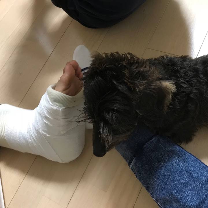 49df206a ff9f 4fda ba42 c8a32acf739c 1540633358007