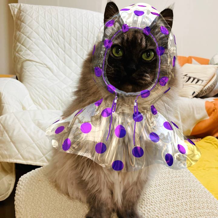 49df7611 e41c 4a54 b5eb c6f479dcee9d 1737629710909