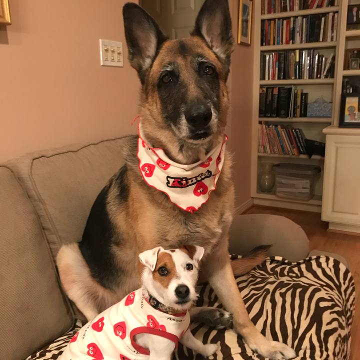 49df8089 0c2d 4eba 8ce4 8454ce69bc2b 1518576025249