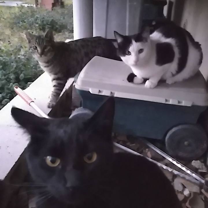 49dfa11a d4ae 4d29 946e 480069b8b13f 1549097839803