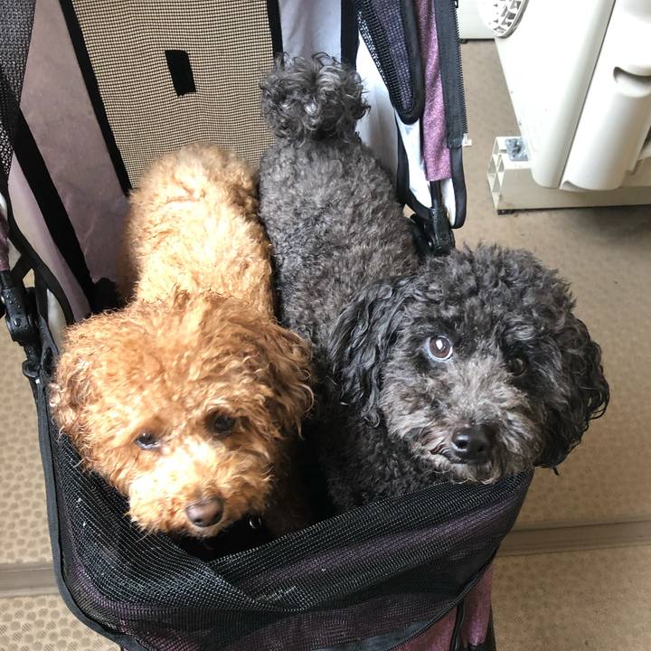 49dfe545 5d62 4a39 a88d d85b2349b897 1602320143242