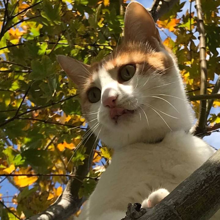 49e00a8e 7e2c 4700 9991 11d35763fe7c 1509417894906