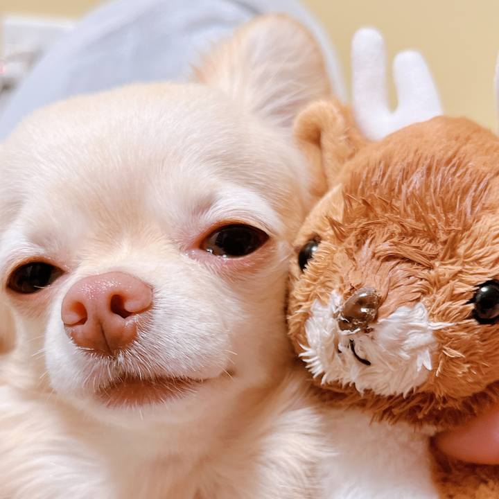 49e0156b e7d9 451b bfdd 576afec5850a 1653180182368