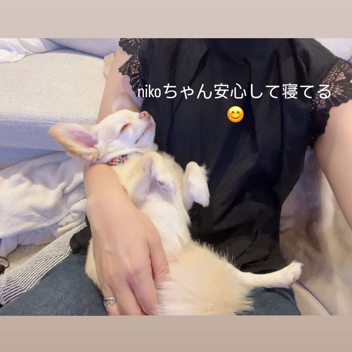 49e052f4 17ea 412c b06c da1f27d98518 1724075086806