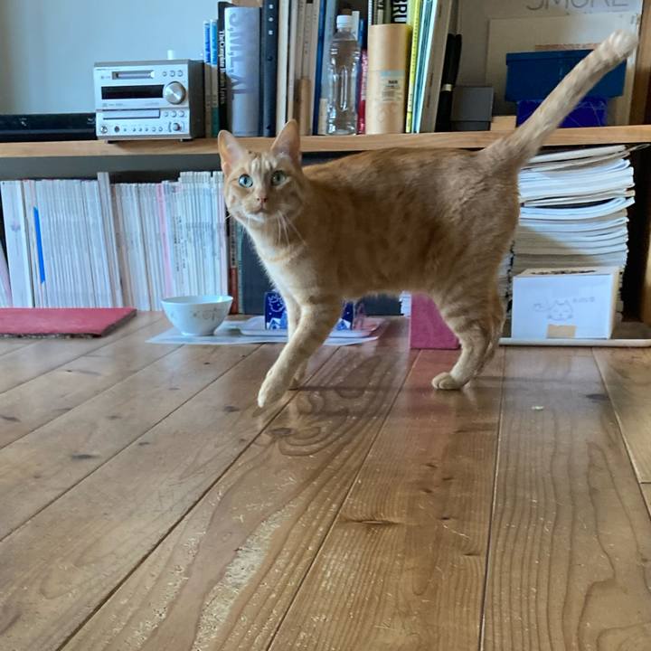 49e05a6a a2af 4d93 a1e0 4544b62b77b6 1654817639067