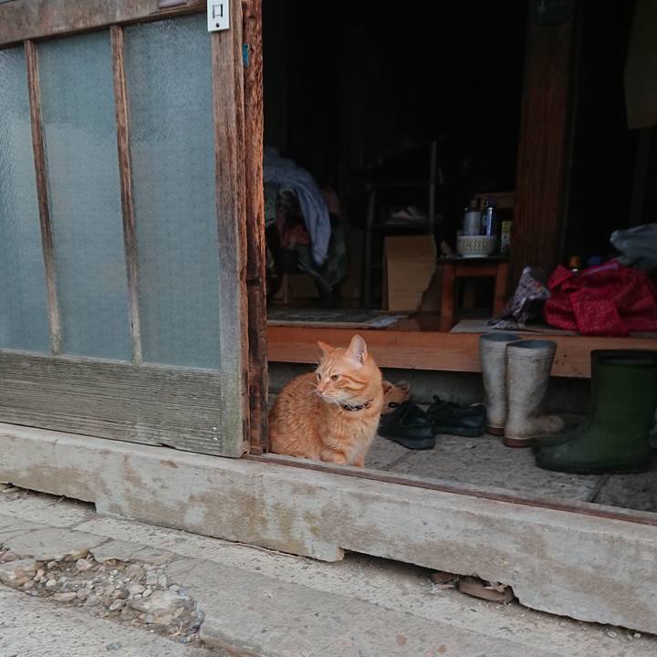 49e05aac 5080 4e35 9ddb fdcb8cfac319 1659817635612