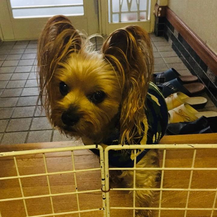 49e075bb 71b1 4d2b a665 d91d655597cd 1539728981137