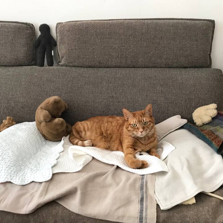 49e07f19 c678 45bf 833d be400f08b8dd 1521263536795