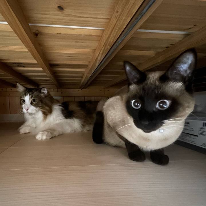 49e08cc4 1343 48e2 adea 528f7a1588f0 1737926920779