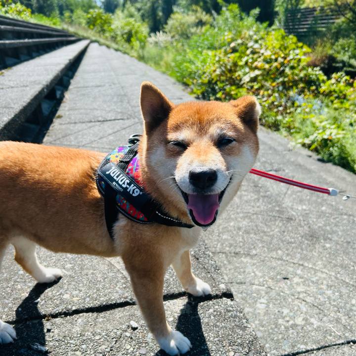 49e0908c 7dcc 4a1e b119 32819f479e70 1757908164138