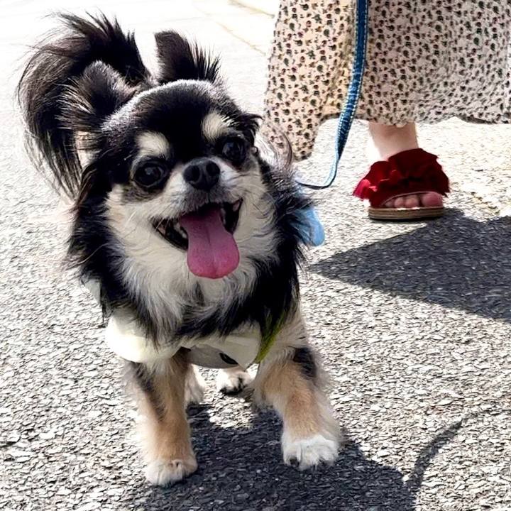 49e0a79a 51fd 4406 8dc9 869a1cfcf08d 1684626471546