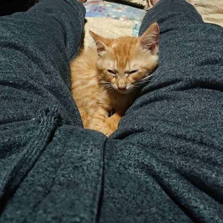 49e0cb50 0b24 4c58 92d4 e6a6853f5297 1629374669440