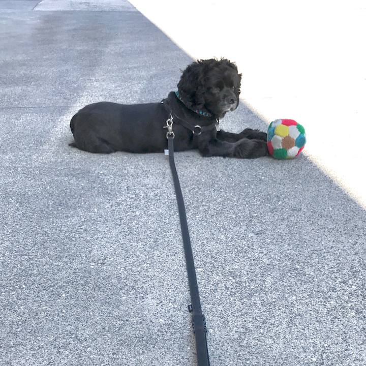 49e0edd3 80c9 40e8 8636 ba9b0d5a5669 1560751898188