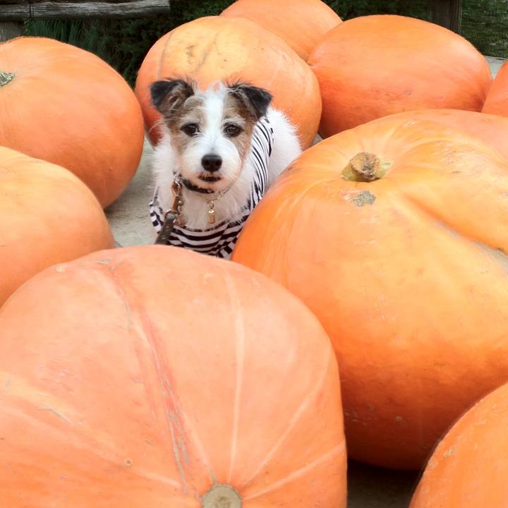 49e12623 428b 46c4 b2b6 f94fb9e2543b 1540894386169