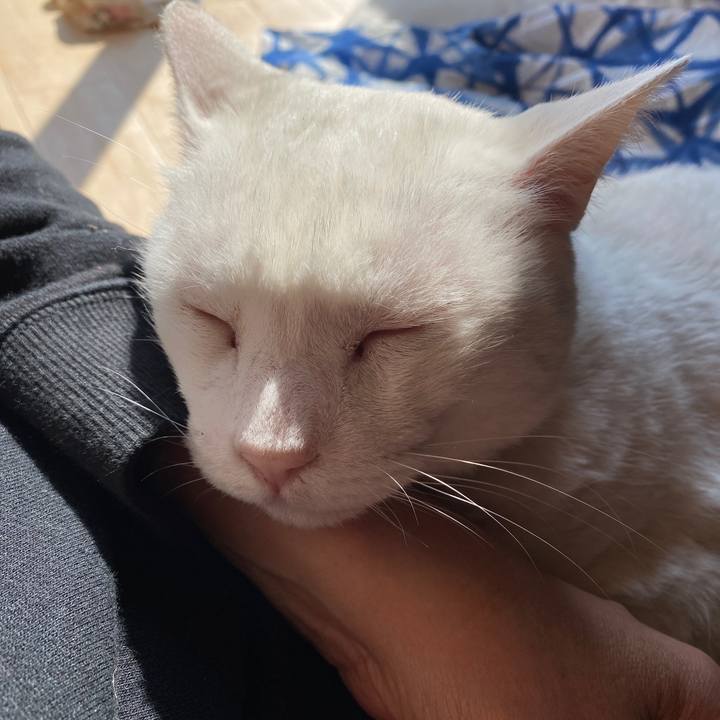 49e12914 d105 4255 82c7 0651d8eb41e8 1613010125498