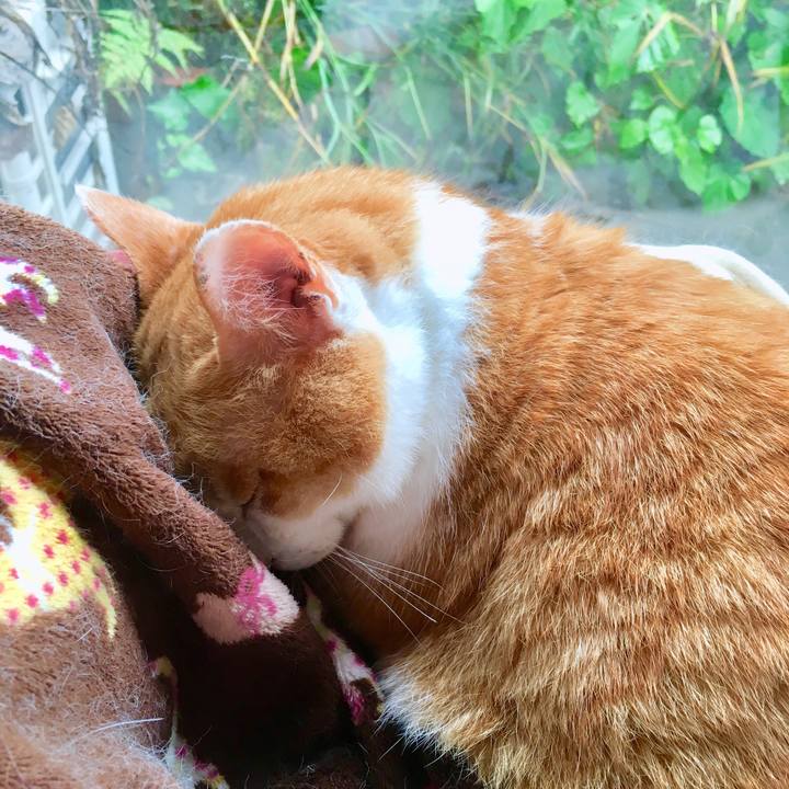 49e149b2 f0a6 4efb a8eb 840181bc3610 1563866201253