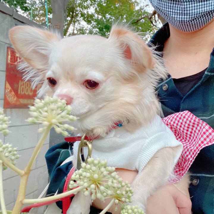 49e15835 61cf 49aa 8470 e6c016ec6032 1637815643023