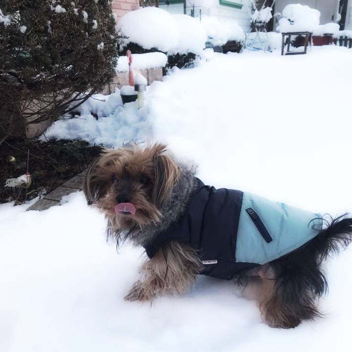 49e162d8 ec1a 45a3 891f af5c05f717a7 1516660824000