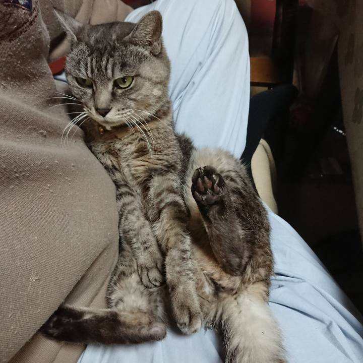 49e164c1 375f 4b26 b4f0 65ba470ae681 1572169923404