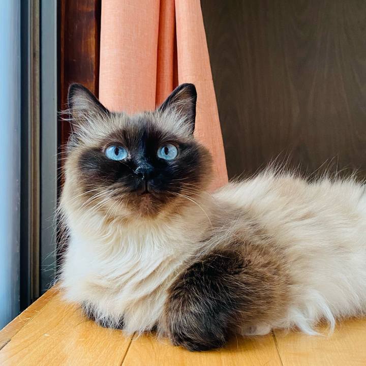 49e16f75 e6aa 47cd b196 43dbc383e832 1655619393325