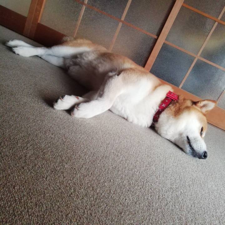 49e18264 90d9 4ede 84db 5115084a4bec 1625547416307