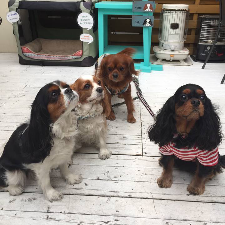 49e1ef99 5d61 4654 8b13 2387bec6ce3a 1525526816933