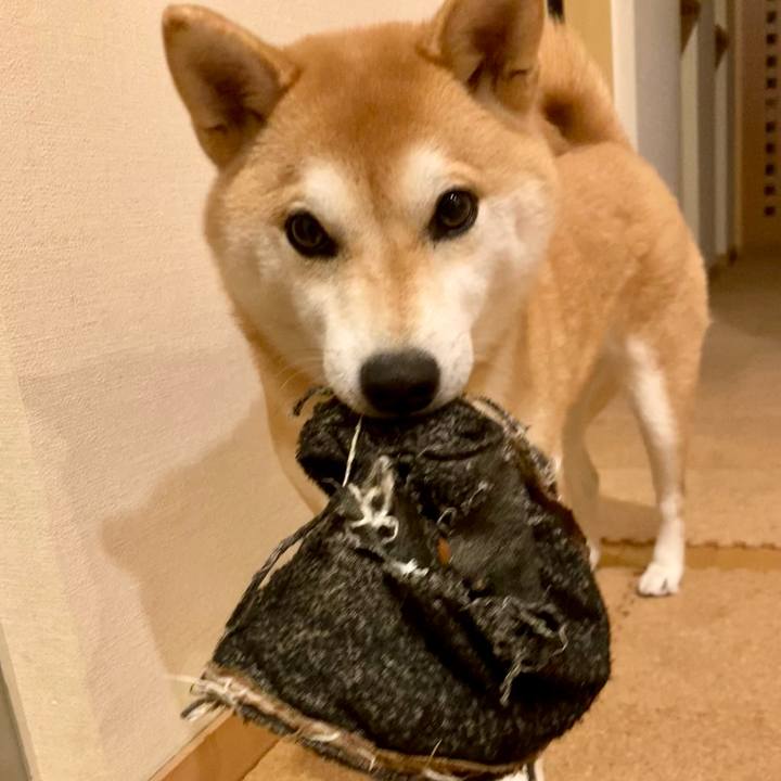 49e1f6df 880e 42f7 b7fd f22bd8f15312 1765881922069