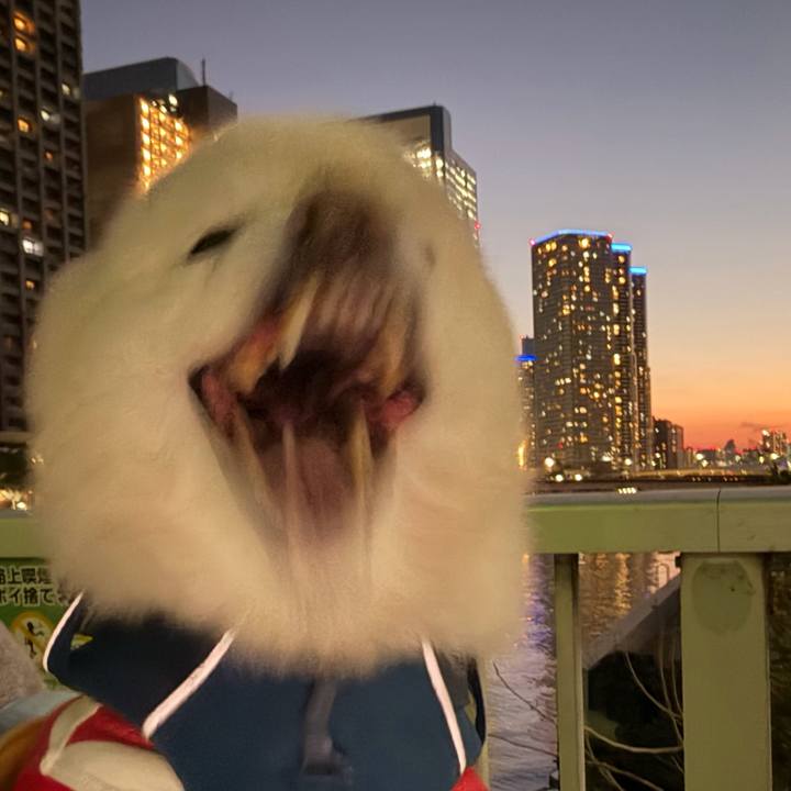 49e21228 da8d 4514 b7a6 6519e3518313 1768556105028