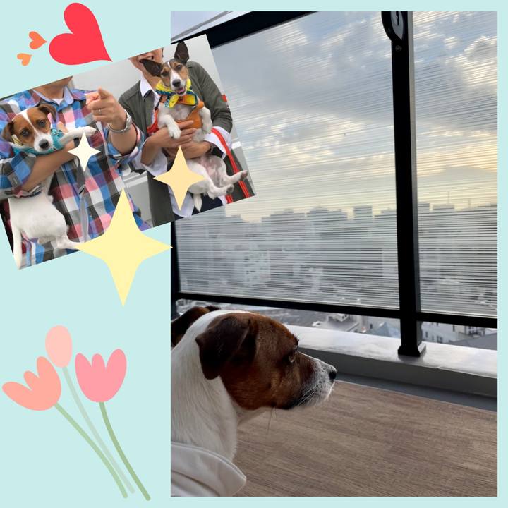 49e223fa e33d 41aa a05e 96c3b566c7e0 1647209456697