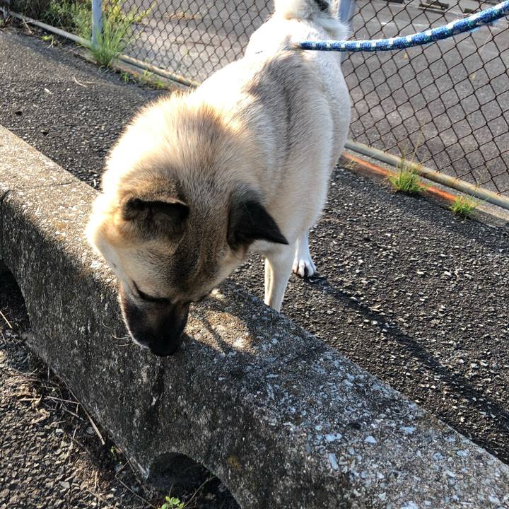 49e24a07 bf21 46c4 8169 c44221a31f83 1600174772579