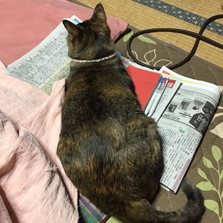 49e24eb5 e670 4f26 8a43 e5263f8ad099 1673873766553