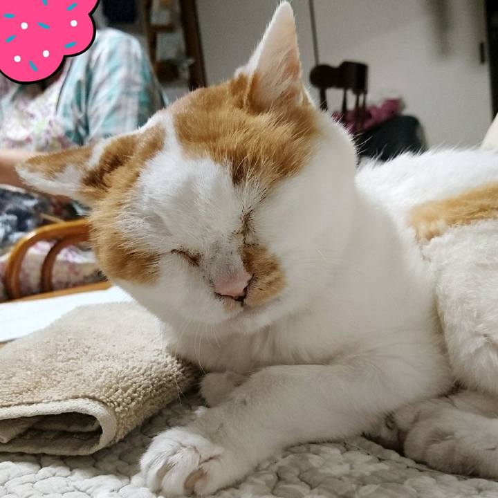 49e25aac ef11 49c1 8b40 edccdeb5a1a3 1566295364949