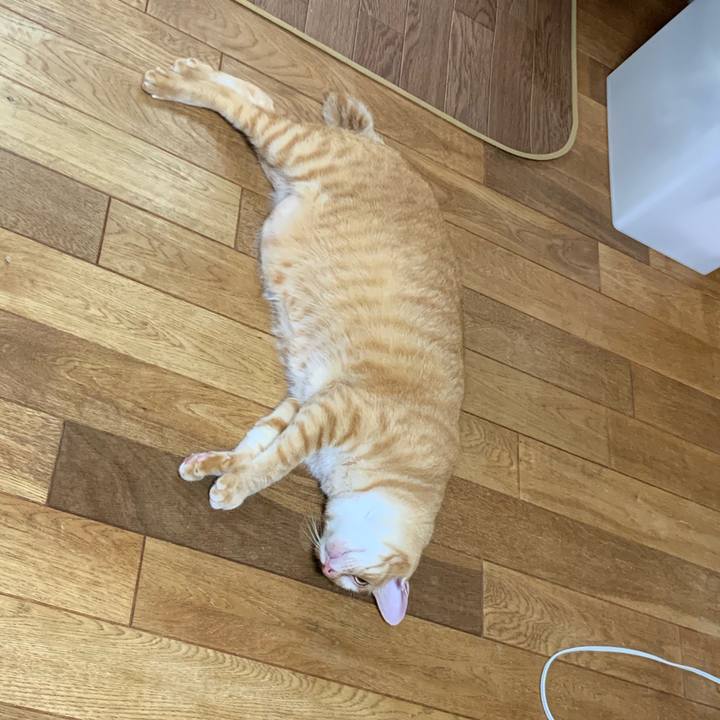 49e25b81 eee0 449b 8041 fc963f4a0837 1567808557020