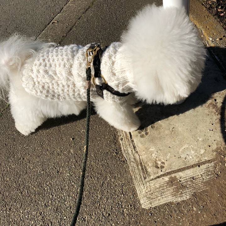 49e2856e 2cf5 4f0a 90e0 85ec4c324a8d 1517879818748