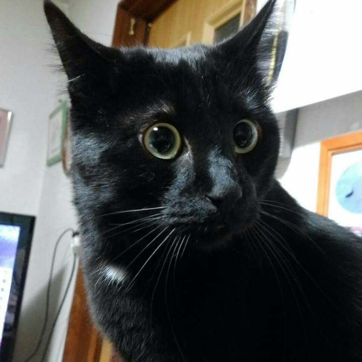 49e2cc7b beef 4538 8377 175ddc60c0d7 1512218617085