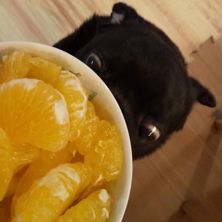 49e2e91b 2f70 4460 8f88 21c55177dfa2 1592568313980