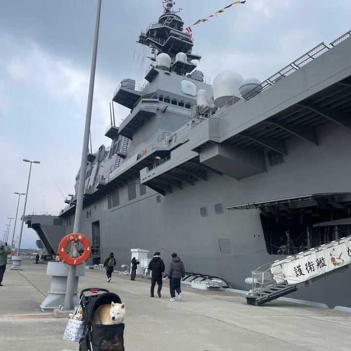 49e3054d e951 4065 bc44 6a31559bc82d 1740319142953