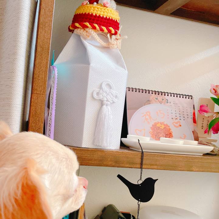 49e36b6c ad5e 46d7 b67e 27c98c7802ff 1646971155459